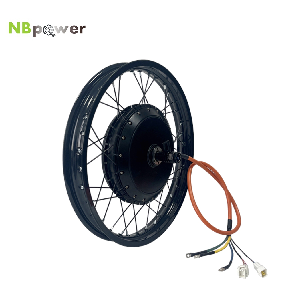 NBpower/170mm Dropout QS 273 4 - Qs Motor 273 8000W Hub Motor 评论和价格